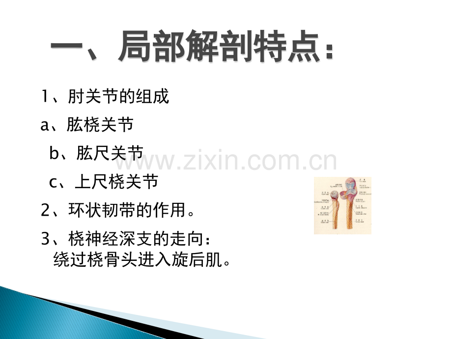 孟氏骨折与盖氏骨折.pptx_第2页