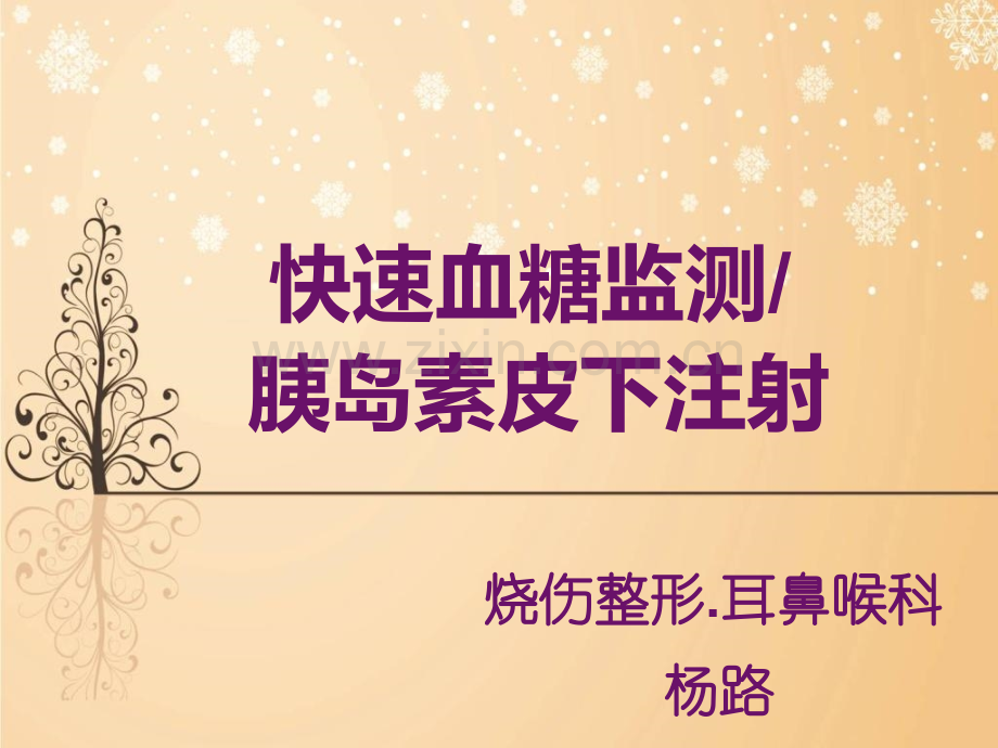 快速血糖监测皮下注射.pptx_第1页