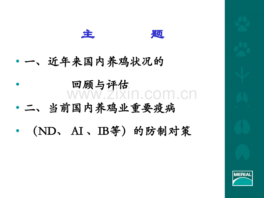 当前国内养鸡业重要疫病的防制对策.pptx_第1页