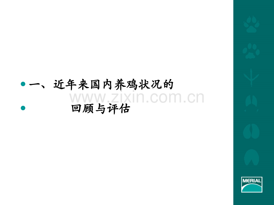 当前国内养鸡业重要疫病的防制对策.pptx_第2页
