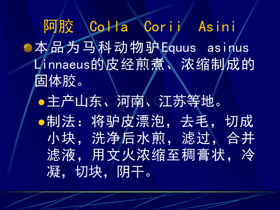 动物类和矿物类生药.pptx_第1页