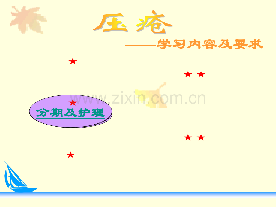 压疮的预防及护理指导.pptx_第2页