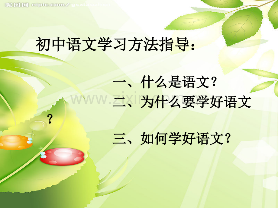 初中语文学习方法指导.pptx_第2页