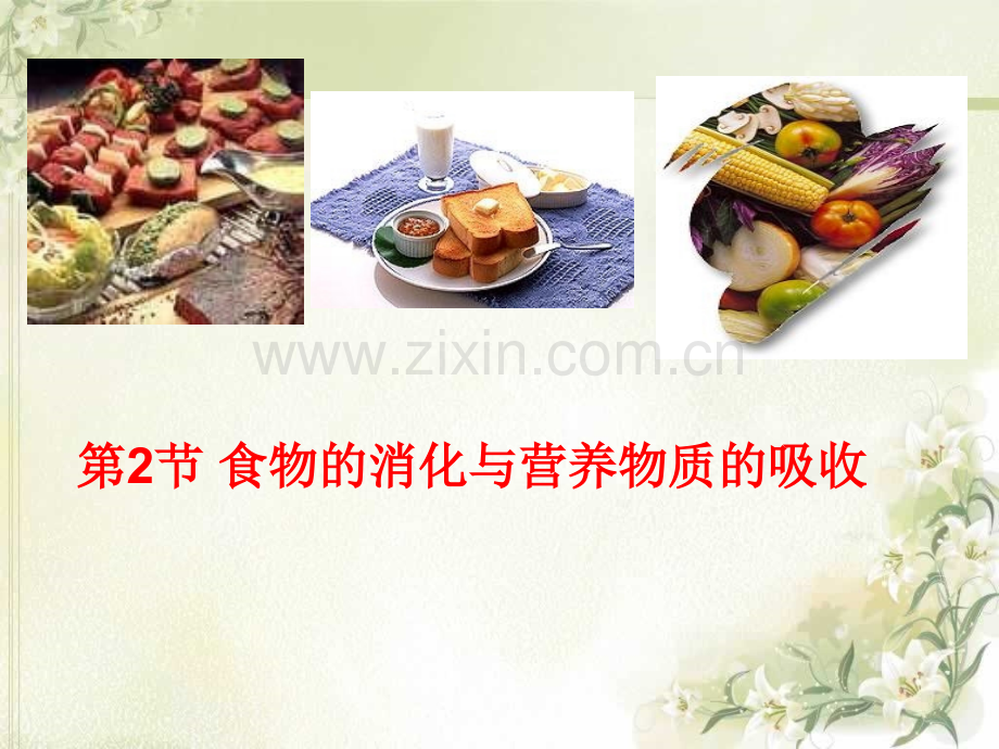 宋和时消化和吸收.pptx_第1页