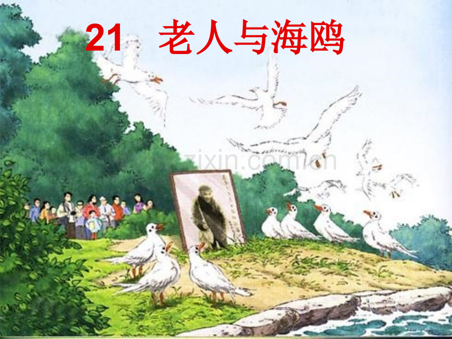 小学语文六年级上册老人与海鸥PPT.pptx_第1页