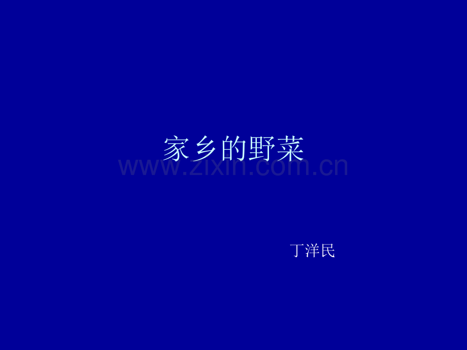 家乡的野菜概要.pptx_第1页