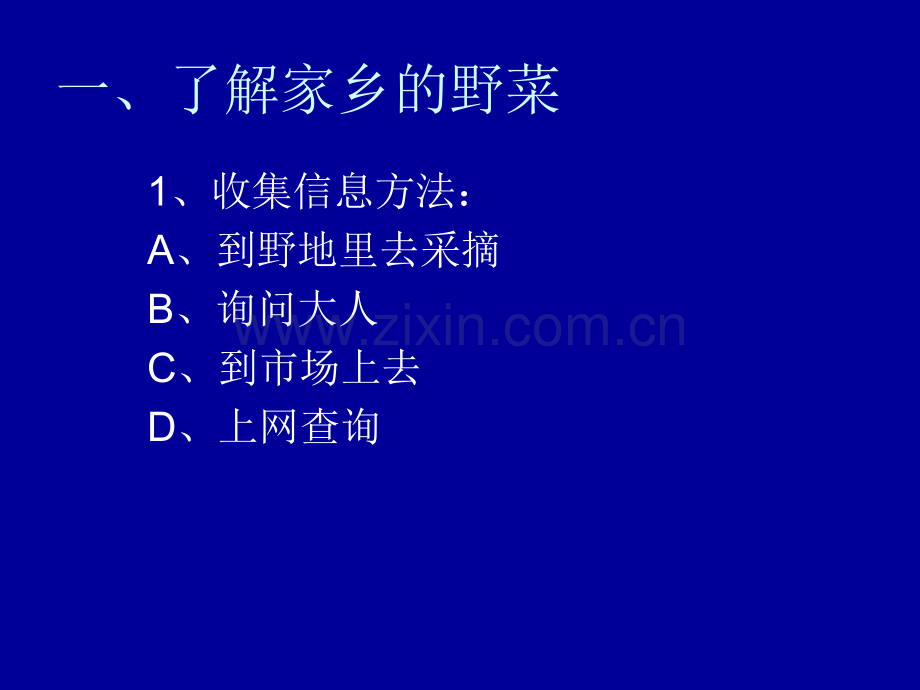 家乡的野菜概要.pptx_第2页