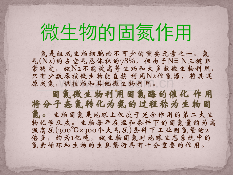 微生物的固氮作用.pptx_第1页
