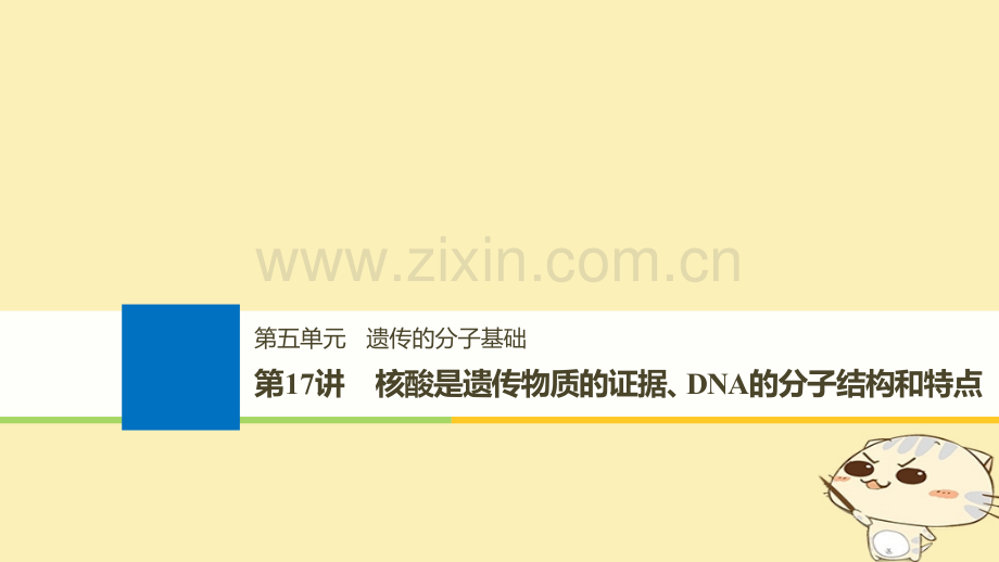 浙江高考生物一轮总复习遗传的分子基础核酸是遗传物质的证据DNA的分子结构和特点.pptx_第1页