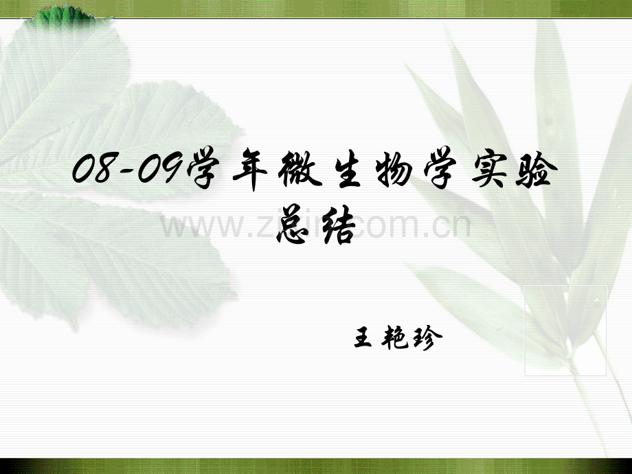微生物实验总结.pptx_第1页