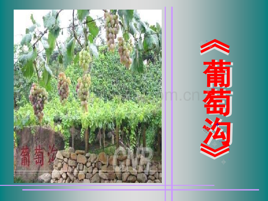 人教版小学语文二年级下册葡萄沟.pptx_第1页