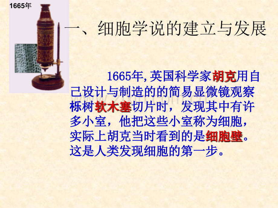 nbsp生命活动的基本单位——细胞1.pptx_第2页