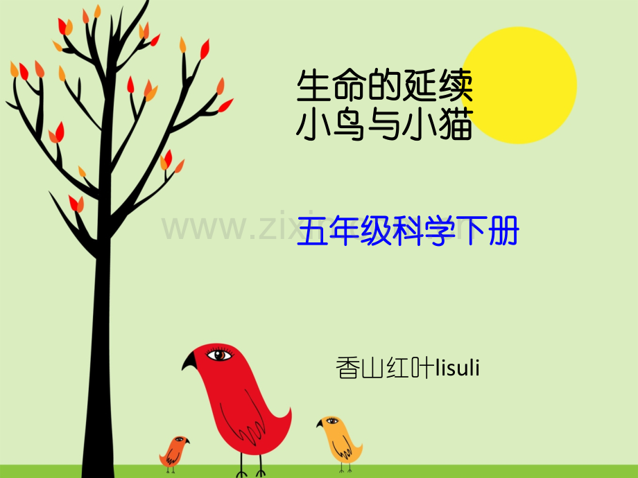 五年级科学下册小鸟与小猫.pptx_第1页