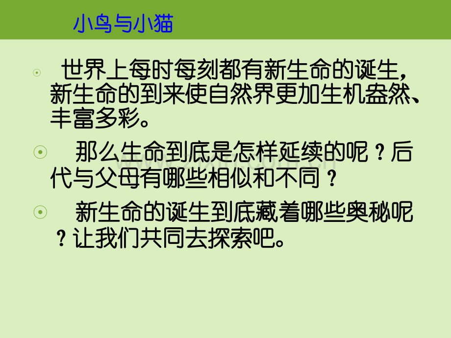 五年级科学下册小鸟与小猫.pptx_第2页