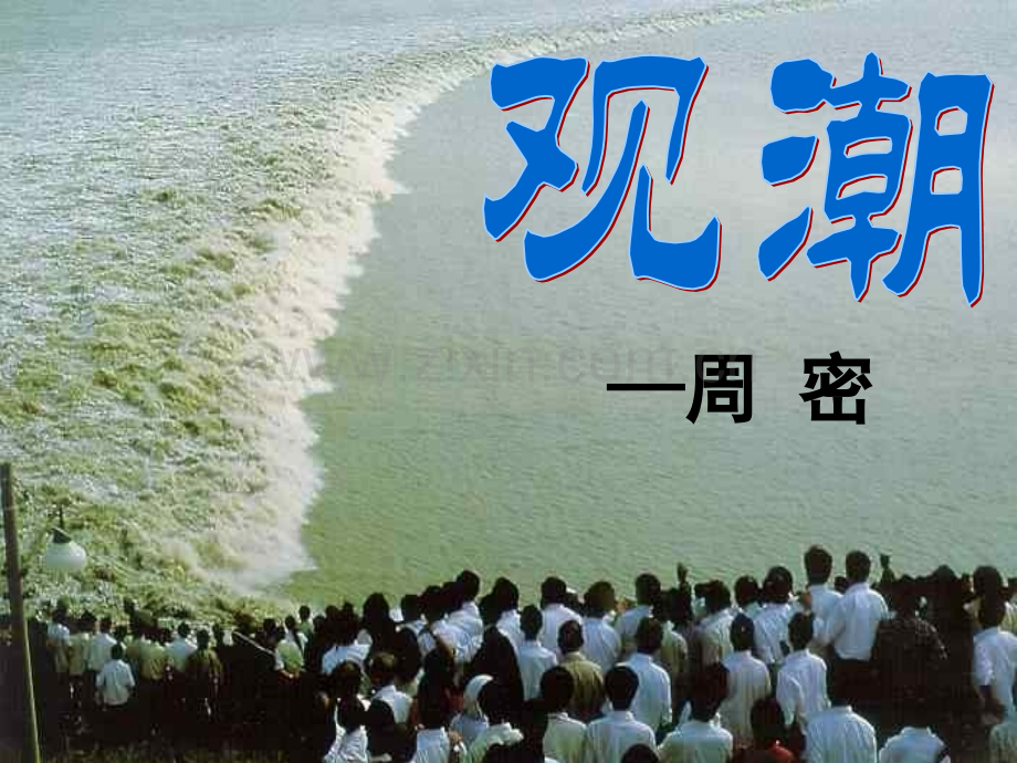 28观潮解析.pptx_第1页
