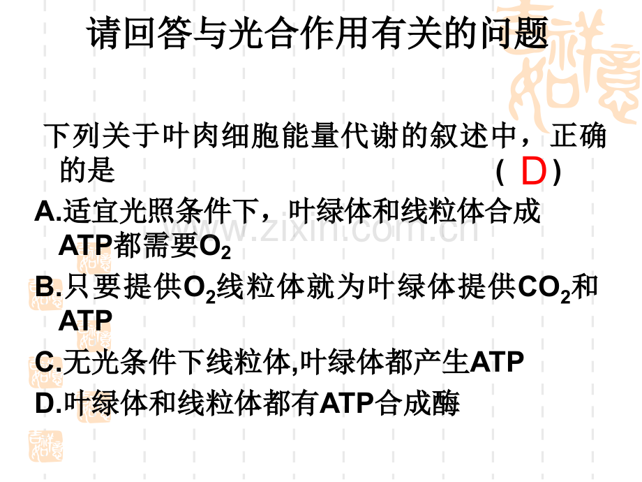光合作用与呼吸作用课件.pptx_第1页
