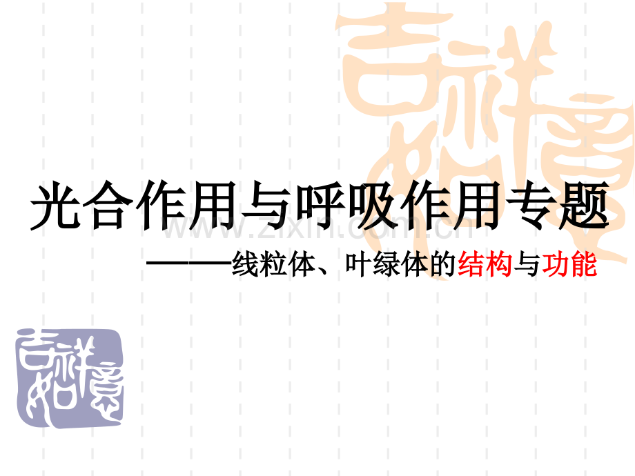 光合作用与呼吸作用课件.pptx_第2页
