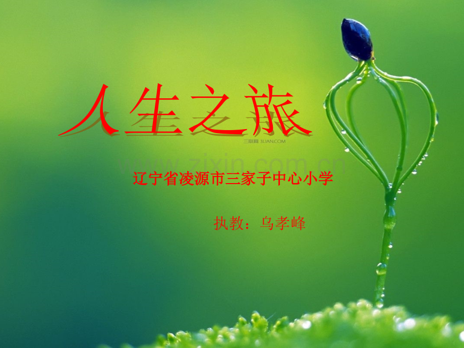 人生之旅ppt.pptx_第1页