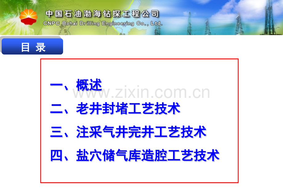 储气库修井完井工艺技术分解.pptx_第2页