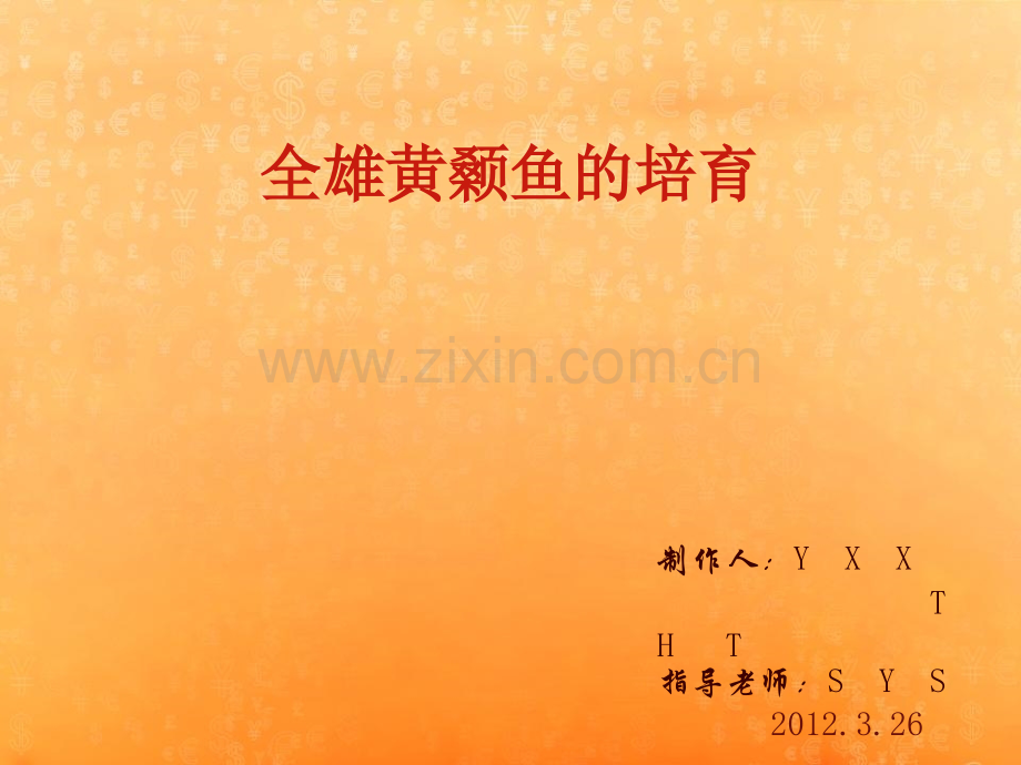全雄黄颡鱼的培育.pptx_第1页
