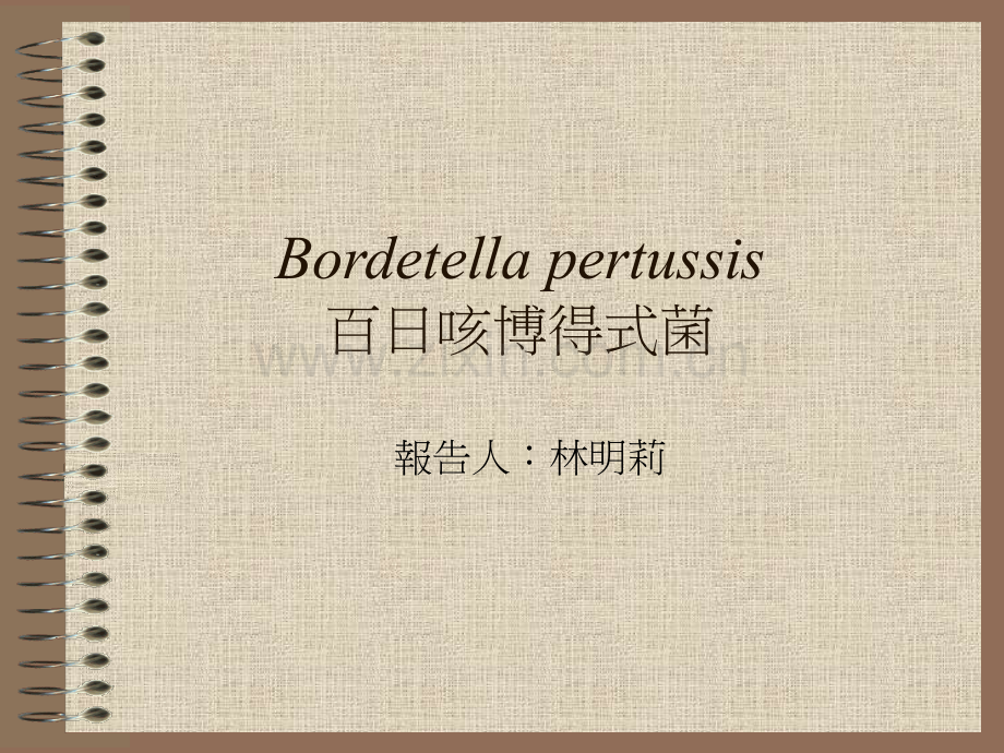 fgBordetella-pertussis-百日咳博得式菌.pptx_第1页