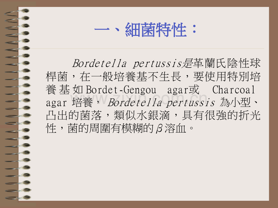 fgBordetella-pertussis-百日咳博得式菌.pptx_第2页