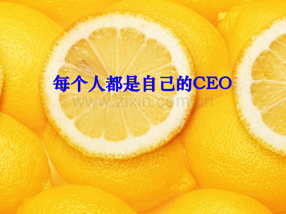 CEO管理运营之道实用之十三每个人都是自己.pptx_第1页