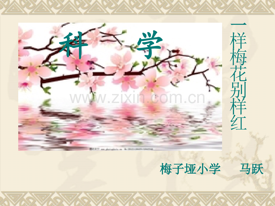 383106958cede4ce139f.pptx_第1页