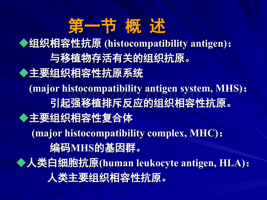 主要组织相容性复合体一.pptx_第1页