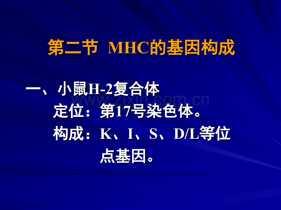 主要组织相容性复合体一.pptx_第2页