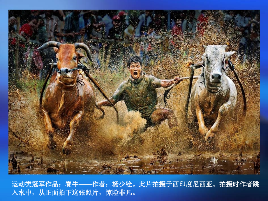 全球摄影大赛获奖作品.pptx_第2页