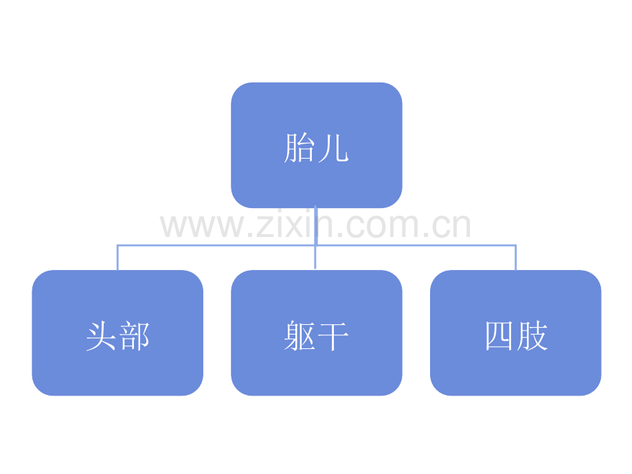 产科检查常规切面.pptx_第2页