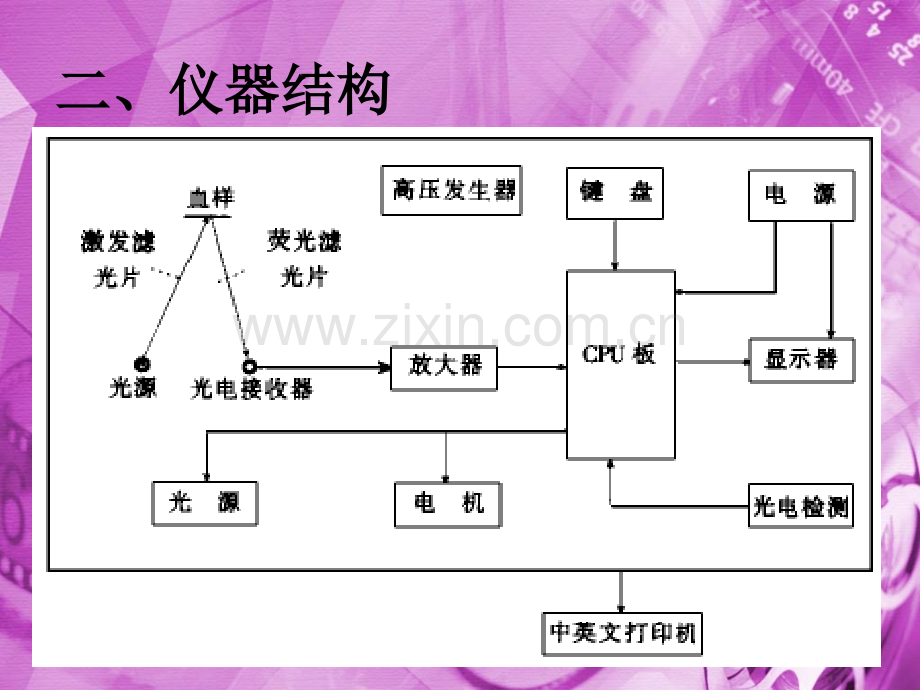 ZPP锌卟啉的测定.pptx_第2页
