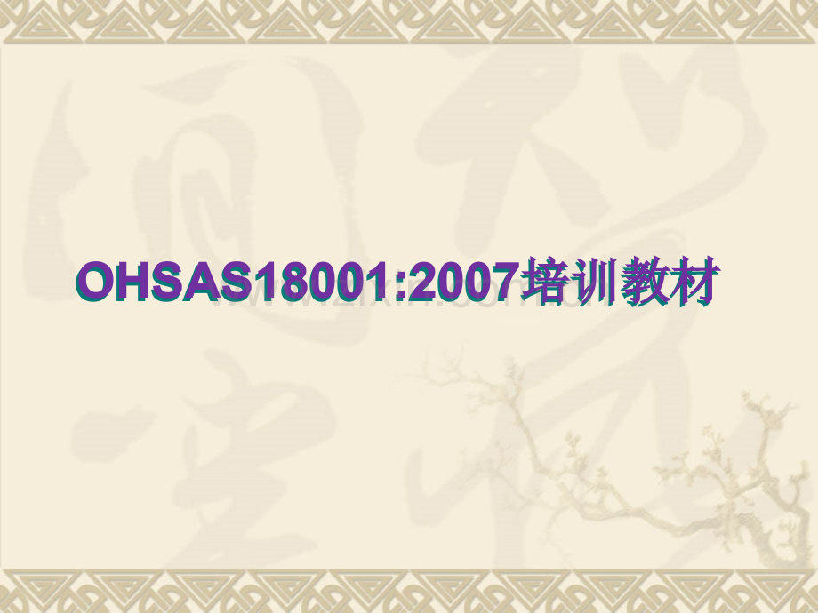 OHSAS180012007培训教材.pptx_第1页