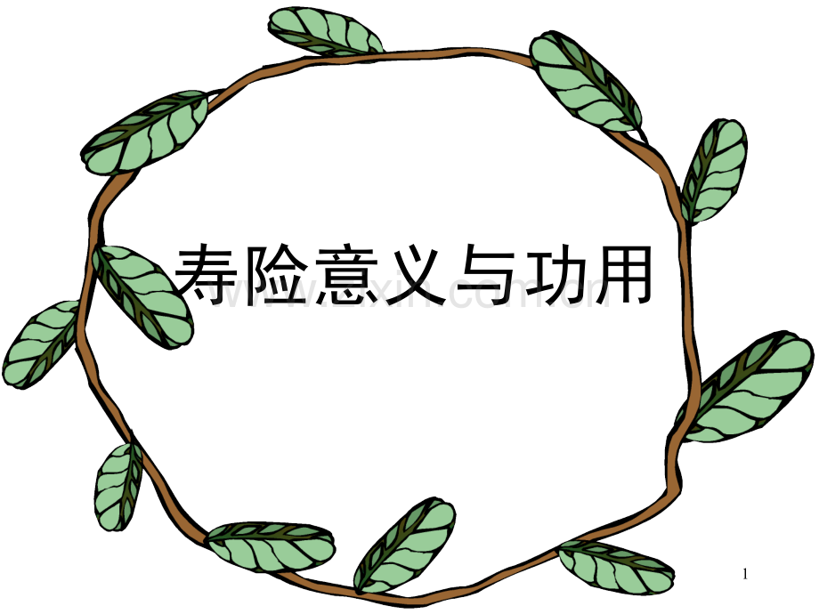 保险的意义与功用新版.pptx_第1页