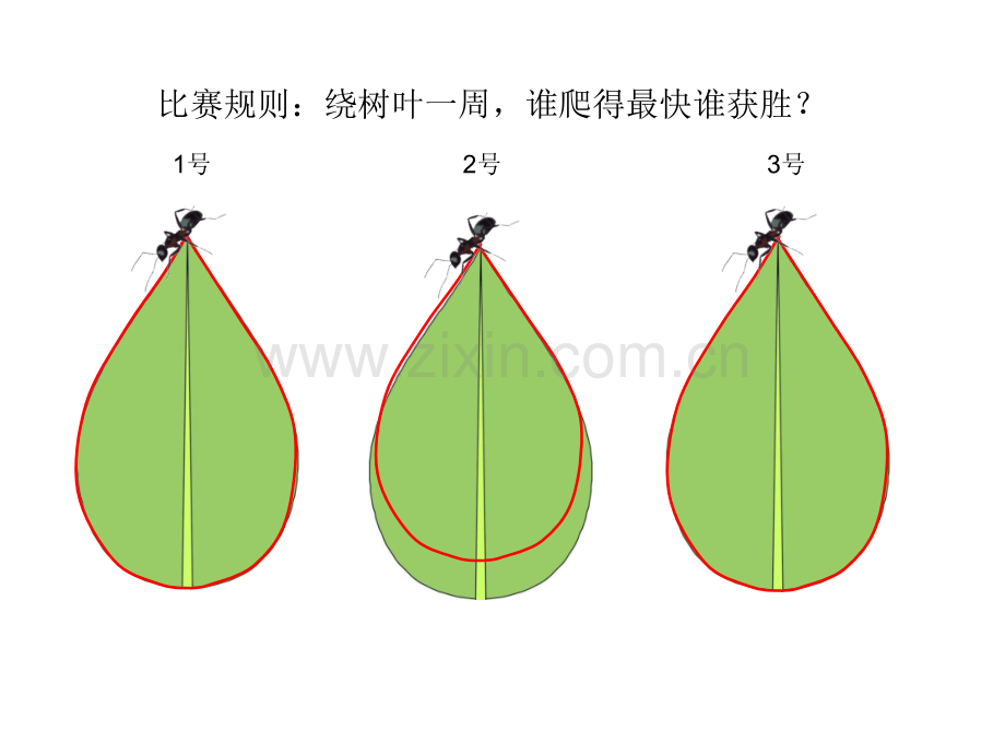 人教版三年级上册周长的认识.pptx_第2页
