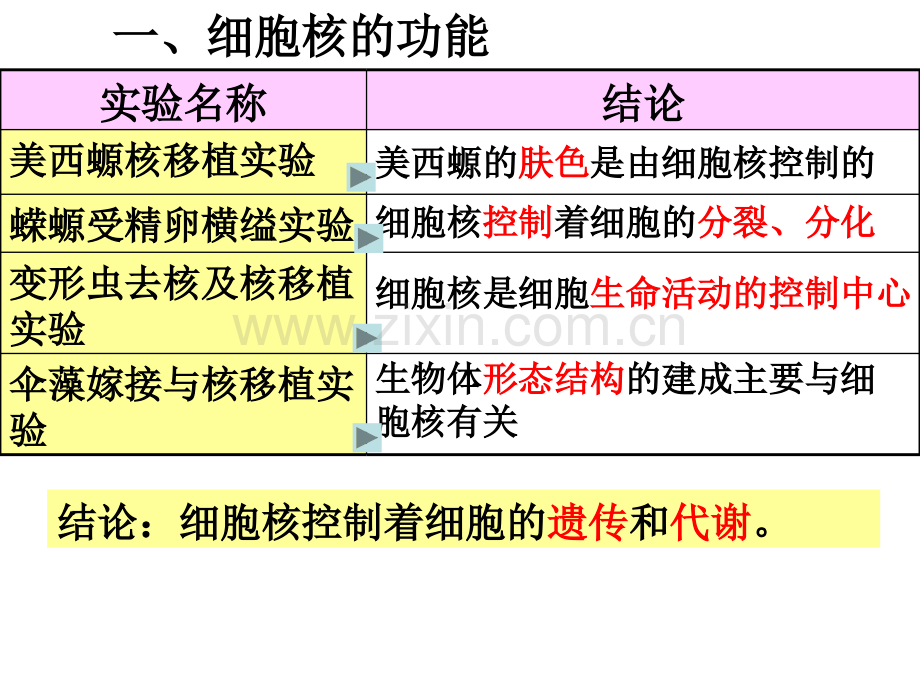 克隆羊多莉的产生的过程.pptx_第2页