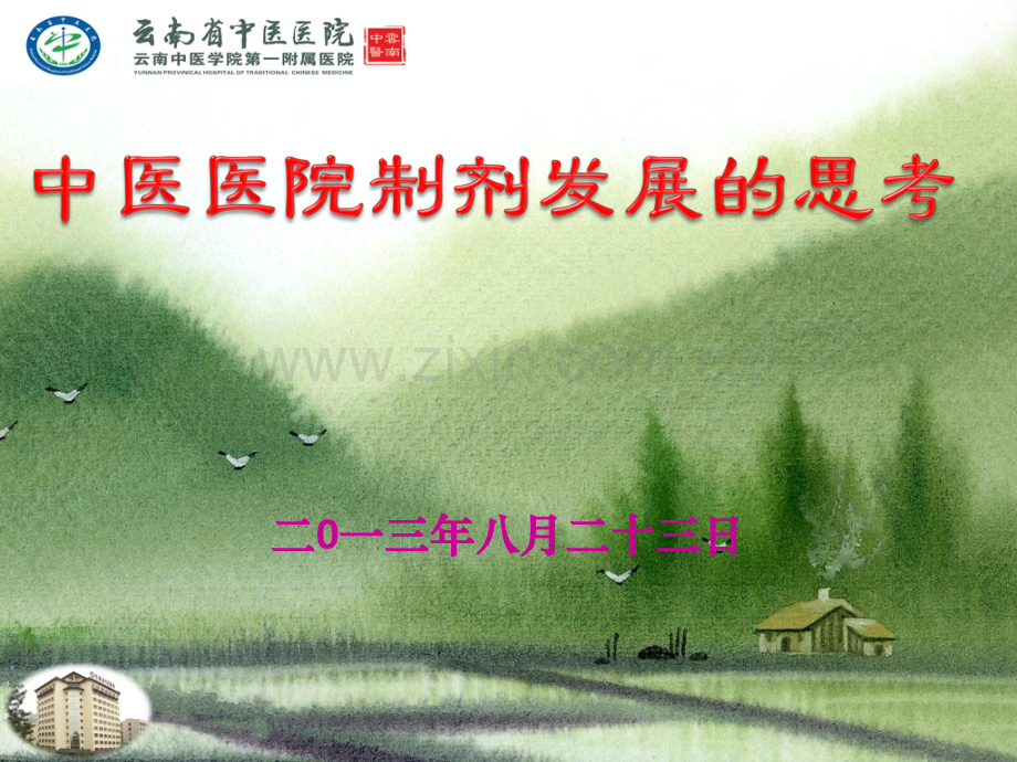 中医医院制剂发展的思考.pptx_第1页