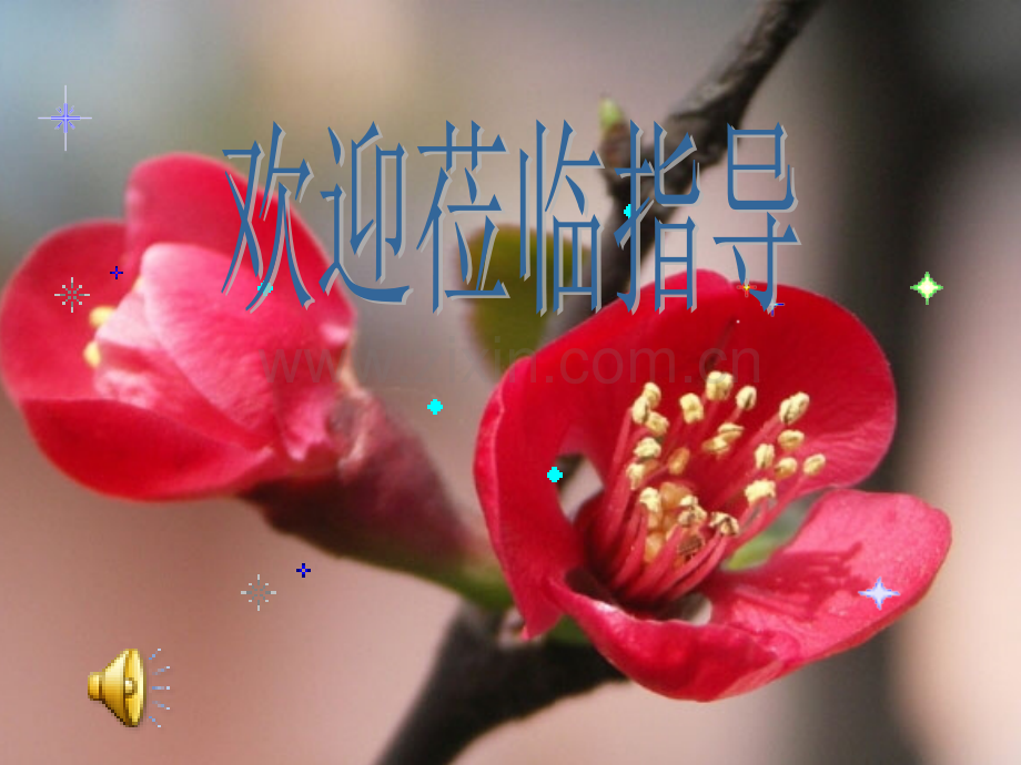 主题班会放飞理想.pptx_第1页