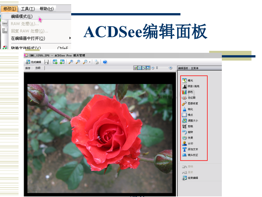 8夸夸我的家乡处理图片.pptx_第2页