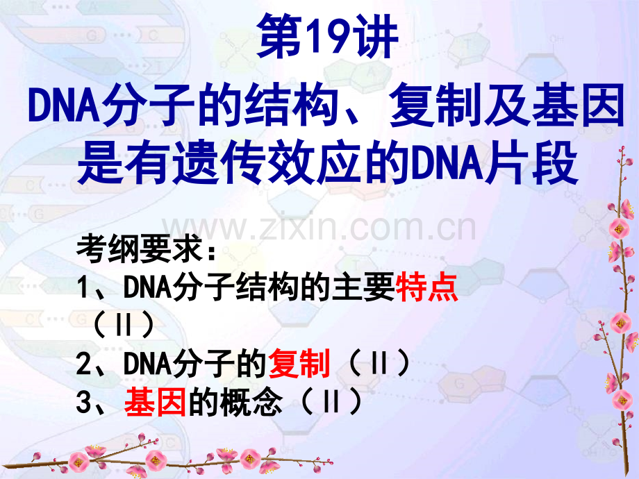DNA分子结构与复制汇报课-PPT课件.pptx_第1页