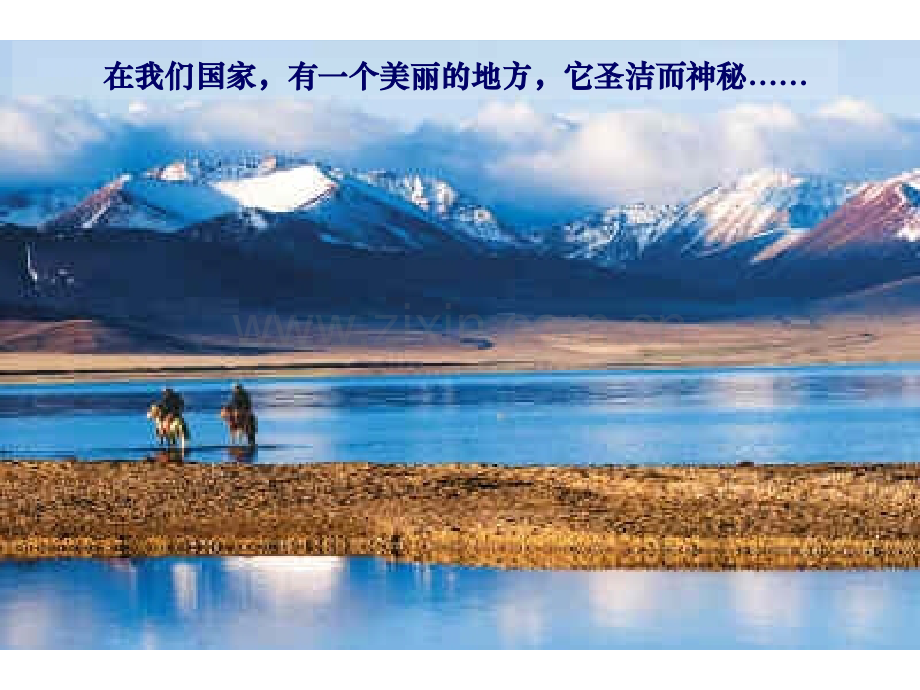 《离太阳最近的树》ppt.pptx_第1页