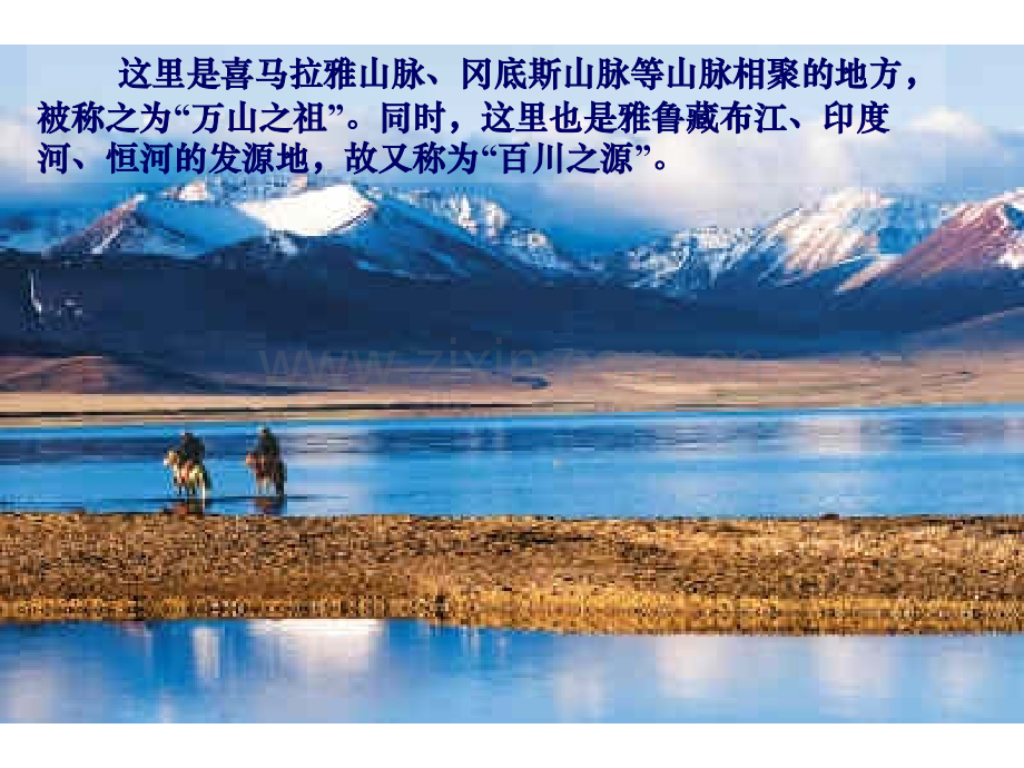 《离太阳最近的树》ppt.pptx_第2页