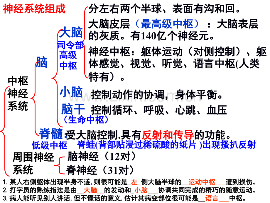 七年级生物——耳与听觉.pptx_第2页