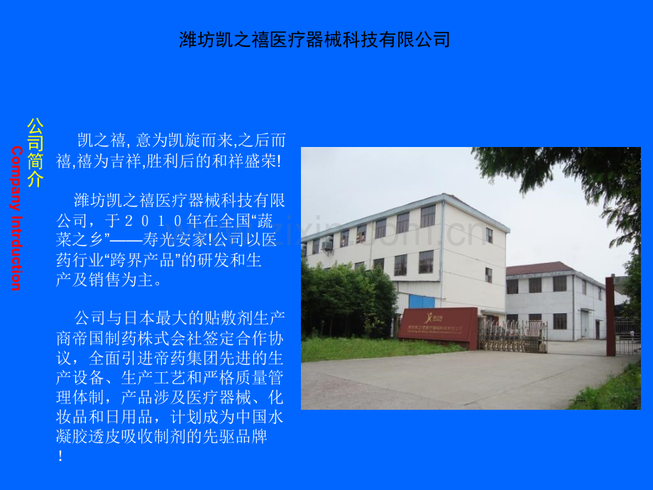 产品介绍终极版本.pptx_第2页