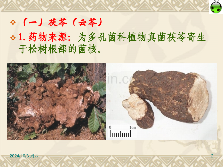 三利湿药.pptx_第2页