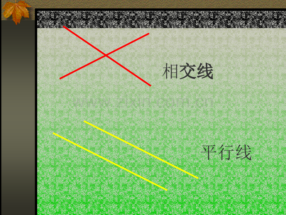 511相交线.pptx_第2页