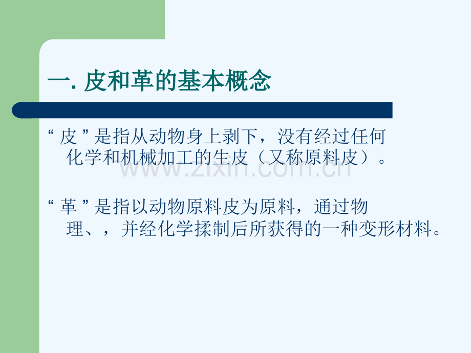 3皮革制品.pptx_第2页