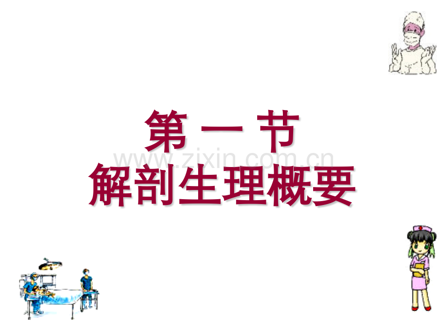 二十六章胆道疾病病人的护理.pptx_第2页