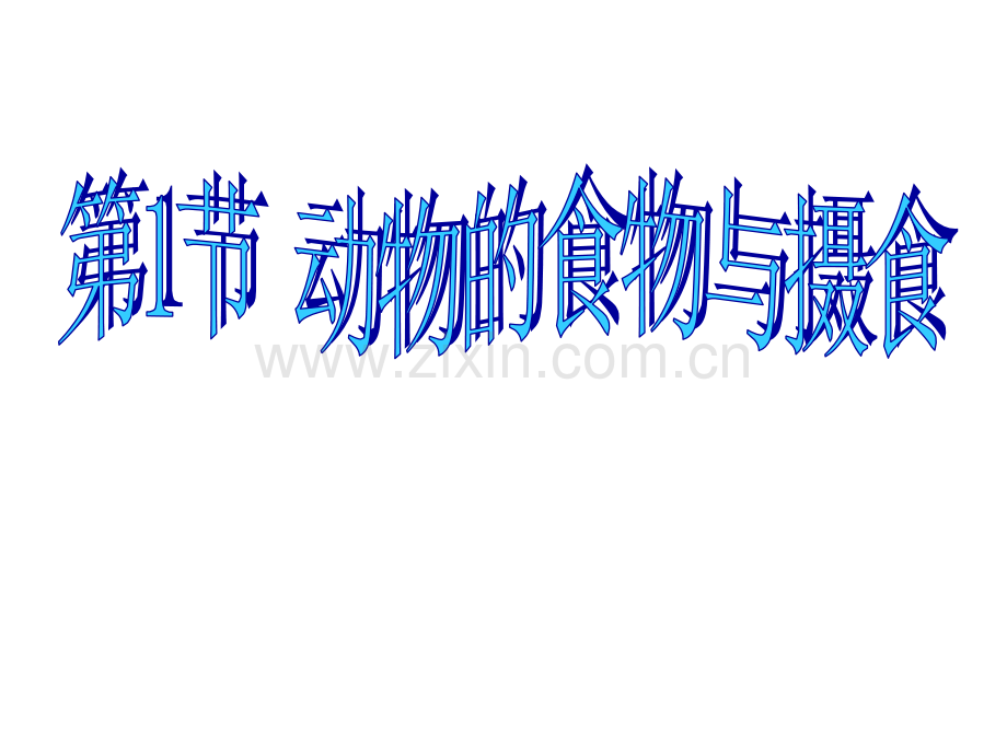 41动物的食物和摄食.pptx_第1页